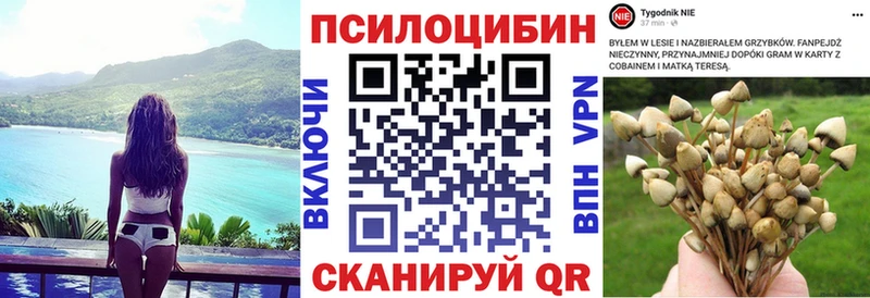 Галлюциногенные грибы Psilocybe  купить  цена  MEGA ссылки  Магас 